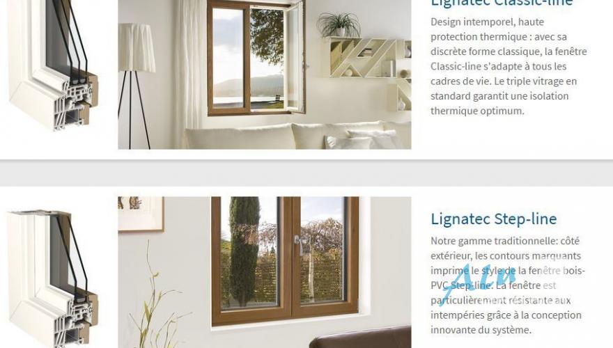 Wood-PVC windows and doors