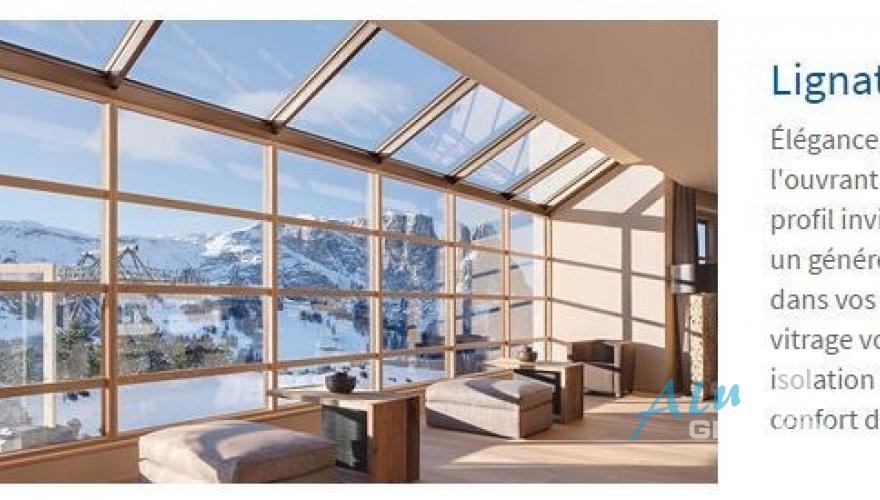 Wood-PVC windows and doors